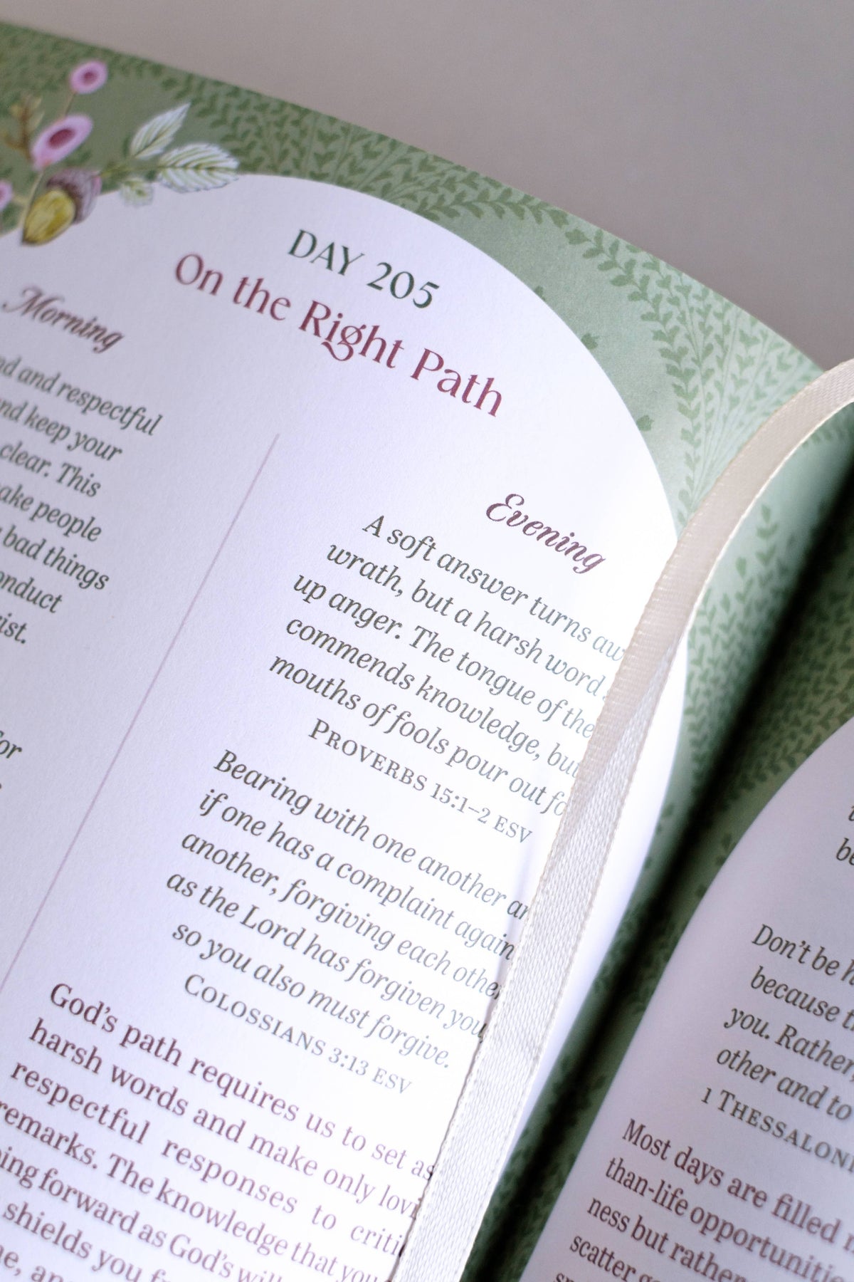 The Bible Promise Book for Morning and Evening